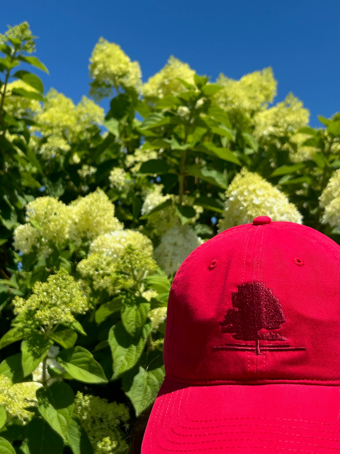 GHGC Monochrome Tree Logo Hat